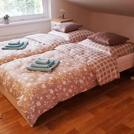 Apartmany Pod Cerchovem Trhanov Exterior photo